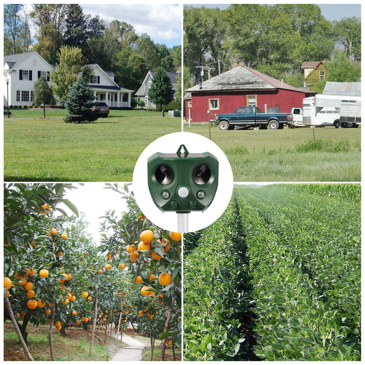566687661